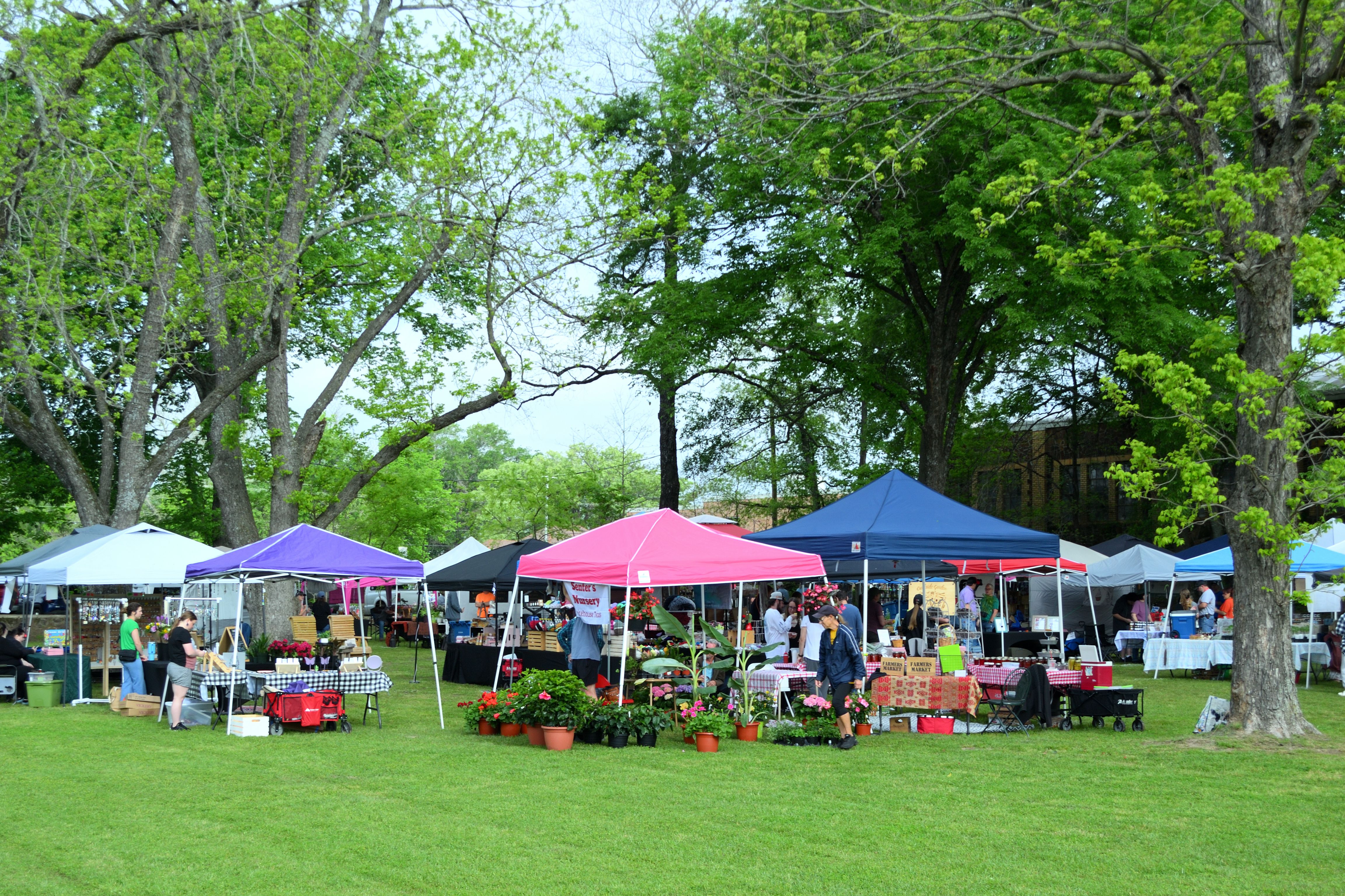 canopy tents in a field for a farmer's market