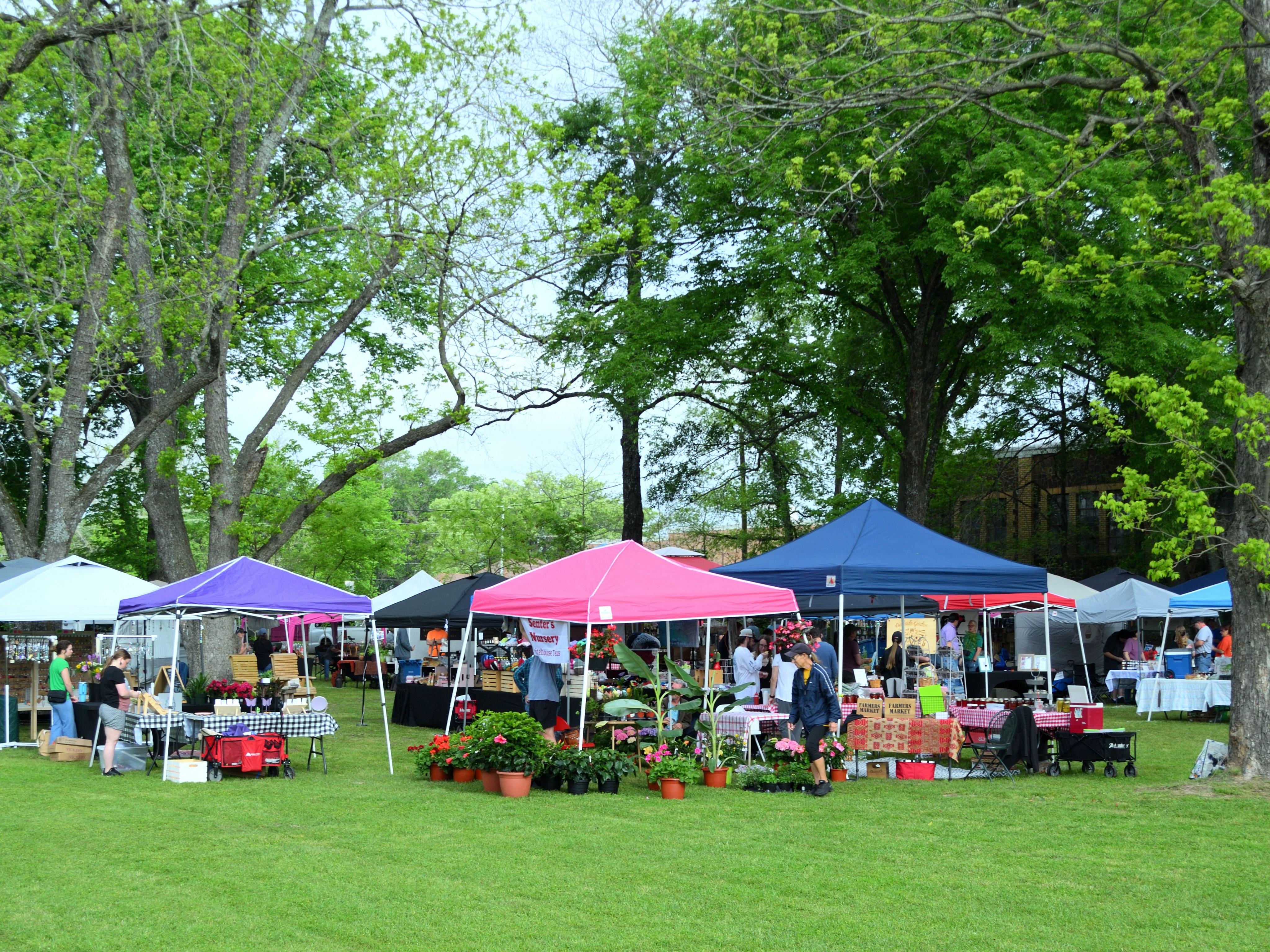 canopy tents in a field for a farmer's market