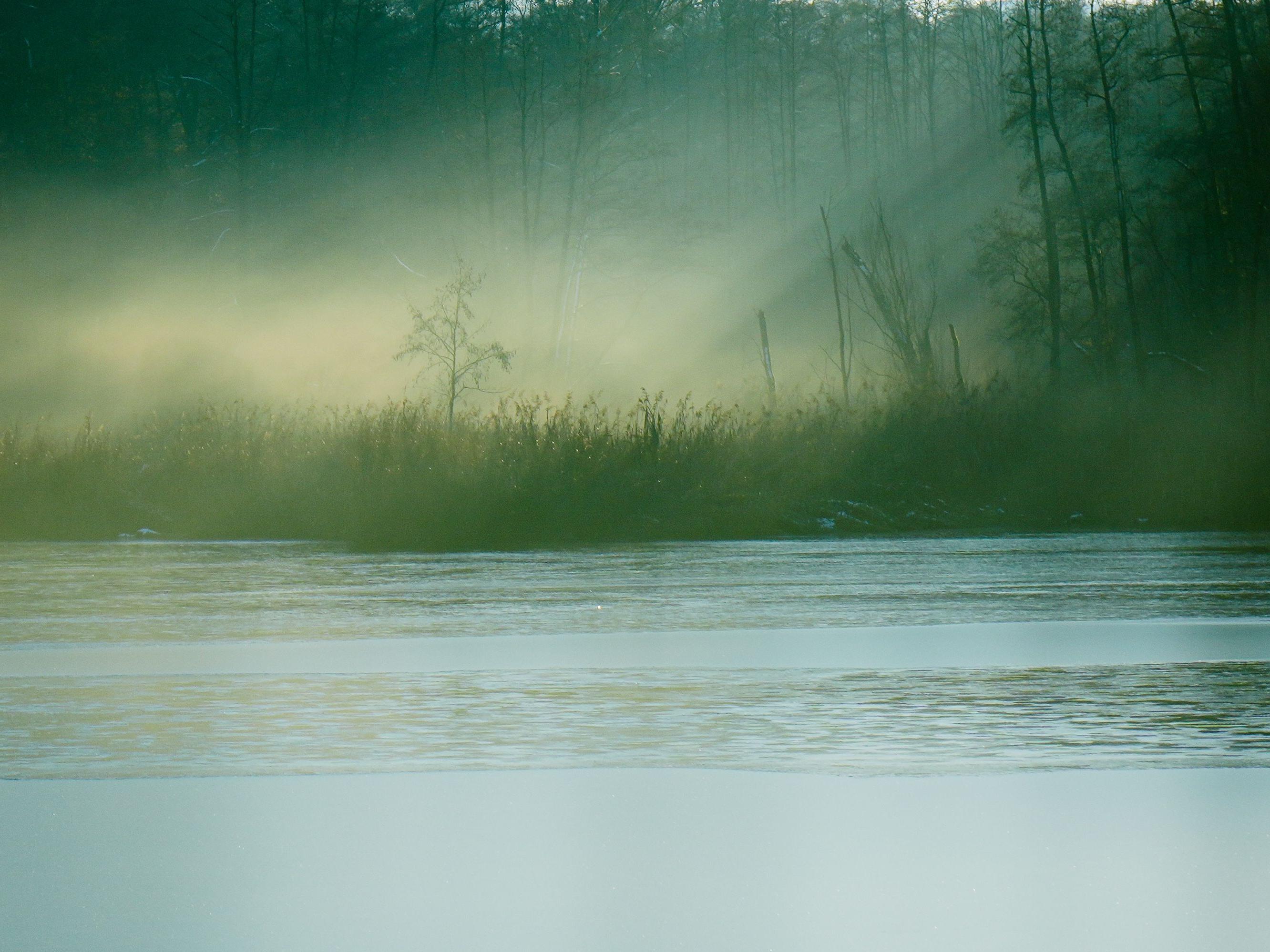 Mist covered river