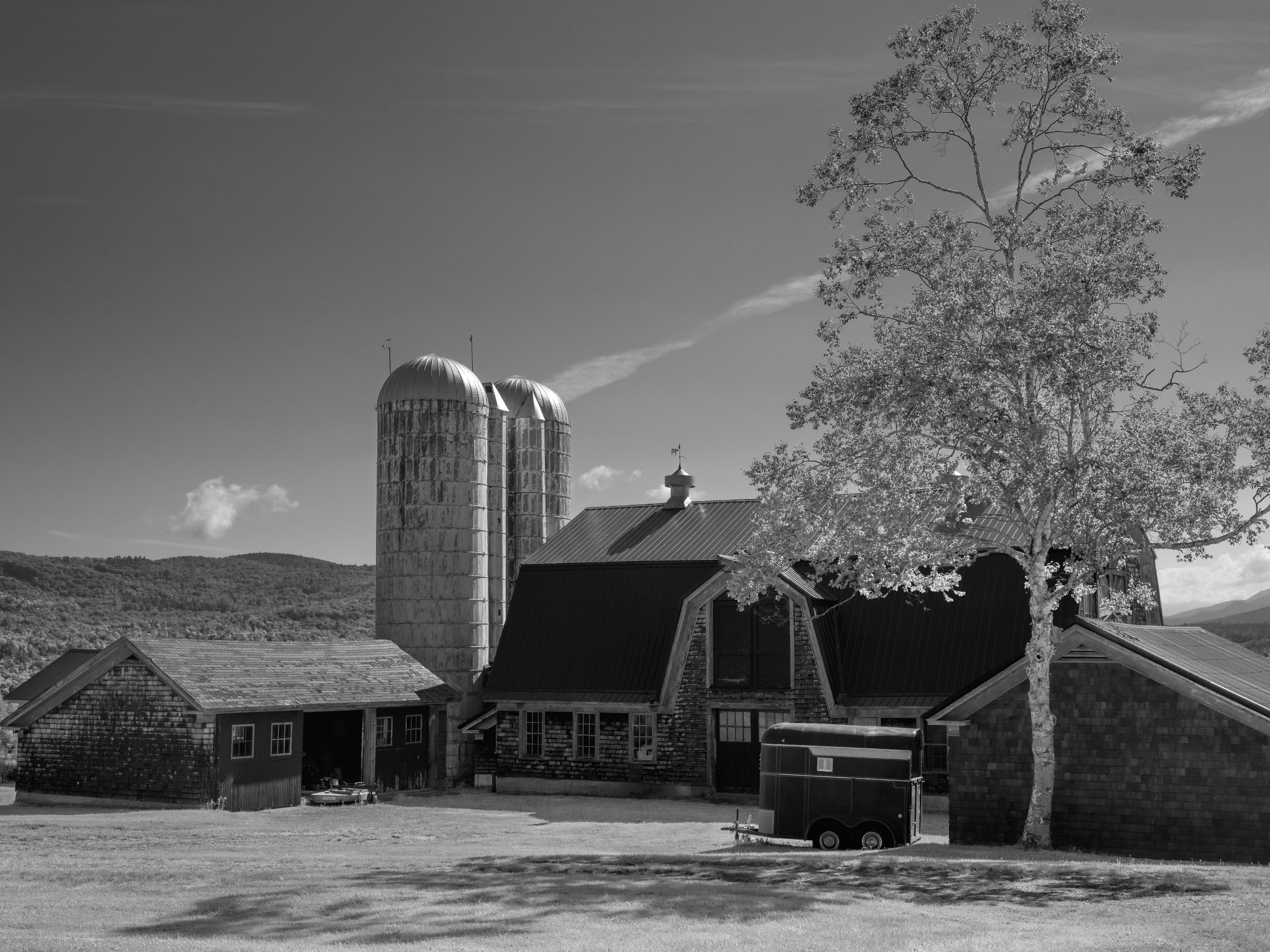 black and white photo of old attached barn buildings